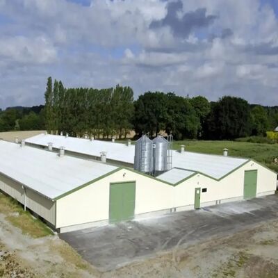 Weerbestendige Gegalvaniseerde Prefab Modulaire Gebouwen Structuur Pluimveestal
