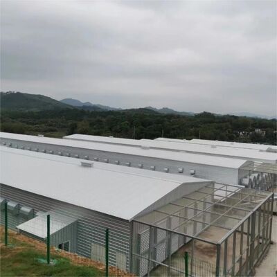 Landbouw Prefabricated Structures Steel Commerciële gebouwen Vleeshuis