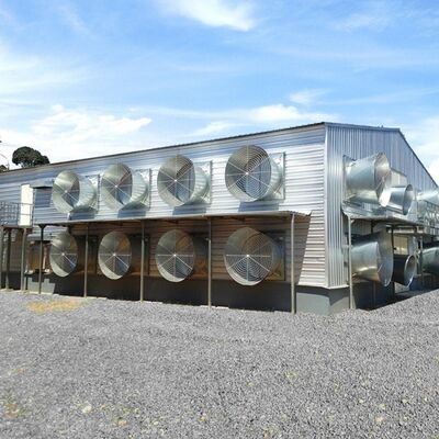 Intelligente klimaatgesteunde staalconstructie Vleeshuis Prefabricated Industrial Buildings