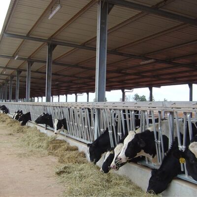 Permanente geïsoleerde modulaire prefab staalstructuur Vleeshuis Kooienstal Voor commerciële landbouw